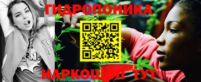 ECSTASY Канаш