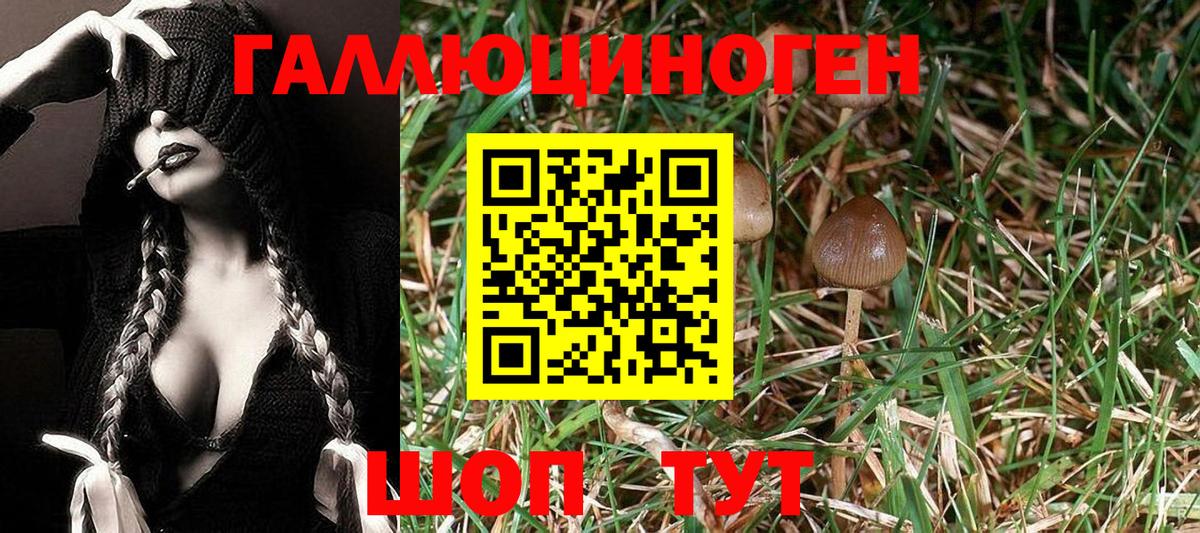 Галлюциногенные грибы мицелий Коряжма